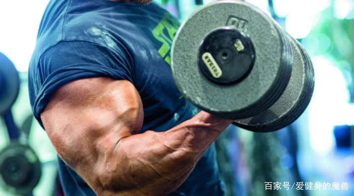 4. 二头28s训练法