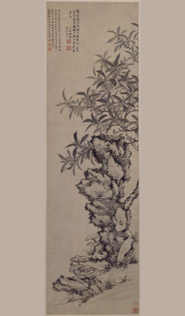 这些古画中的花,你都认识吗?能全部叫出名字的算你厉害!