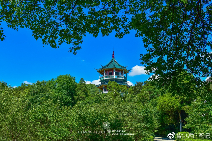 江南行｜邂逅锦绣滨湖，遇见禅意无锡