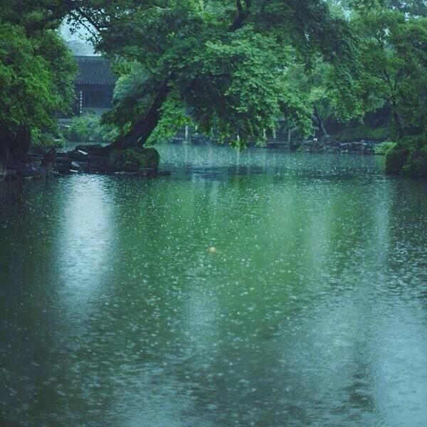 八首关于细雨的古诗词精选,一场雨一场情,细雨纷纷,人间有情!