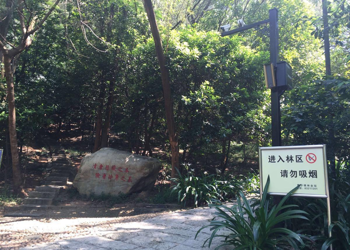 东莞寮步最美的郊野公园, 被誉为“镶嵌在东莞大地的一颗绿宝石”|_新浪新闻