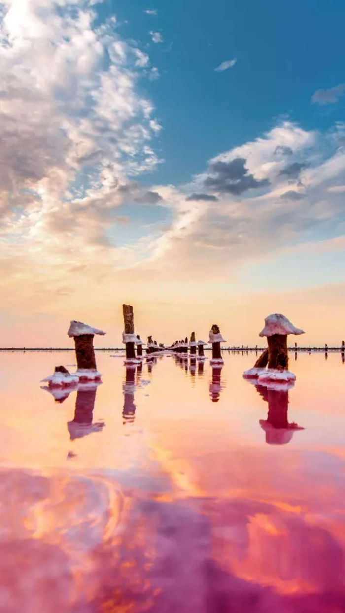 LCL生命之海