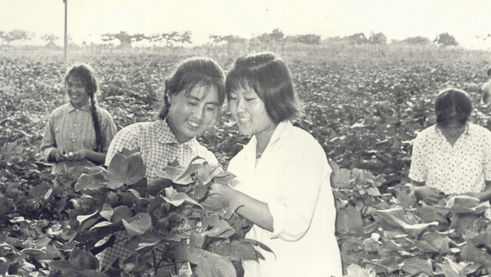 女知青在农村生活得怎么样?|农村|知青|女知青_新浪新闻