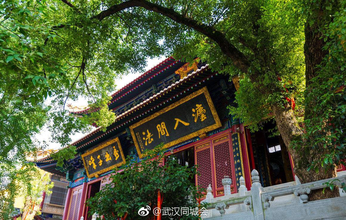 武汉现存最古老的寺院：宝通寺|宝通寺|寺院|武汉_新浪新闻