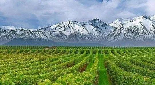 西部盛景,美在巴州:山水大漠游巴州!玩转巴州攻略来啦!|博斯腾湖|焉耆|巴州_新浪新闻