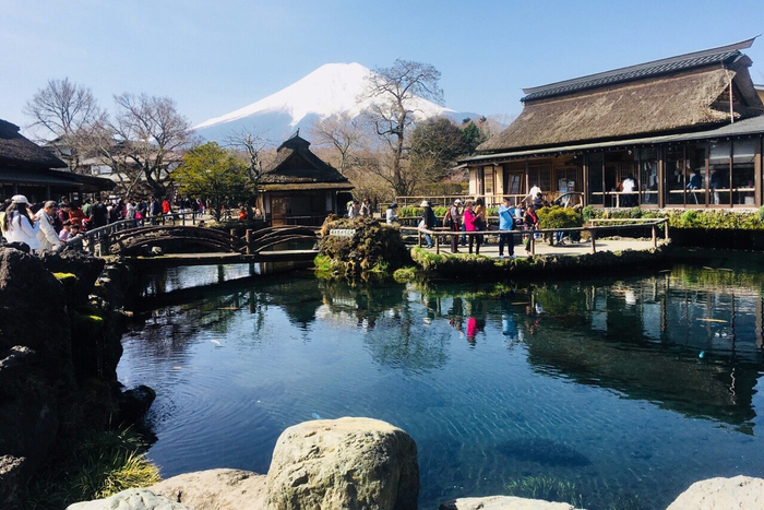 他们来“日本九寨沟”只为喝一口富士山泉水?!