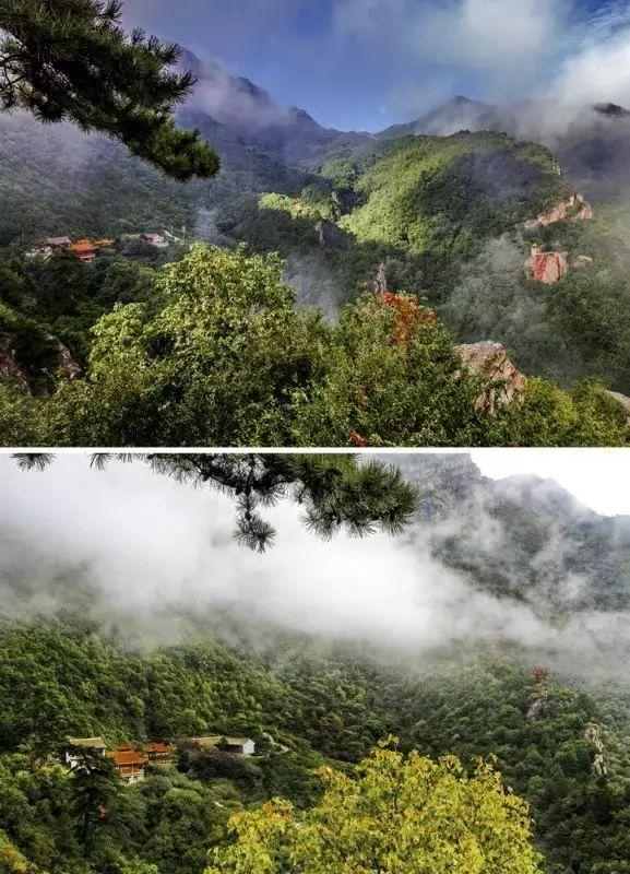白龙山山势雄伟险峻,景区森林环抱