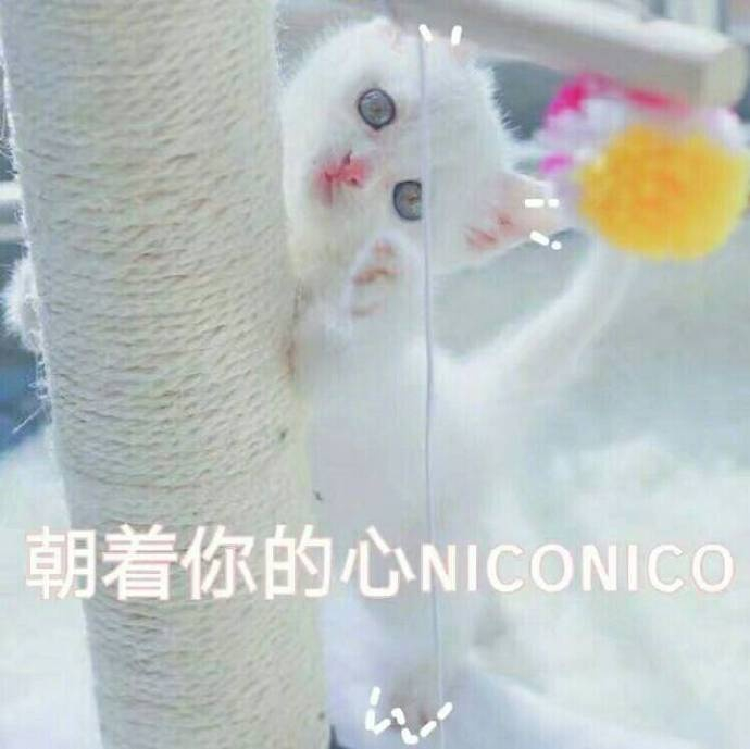 一组超萌超可爱表情包 |超萌|表情包|可爱_新浪新闻