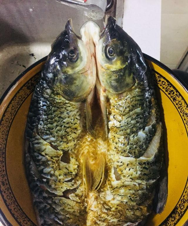 湘味跳水鱼的家常做法,加上这个作料后,嫩滑又美味