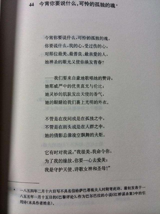 善良的人们的物语——押见修造《恶之华》|恶之华|高男|常盘|恶之花|漫画_新浪新闻