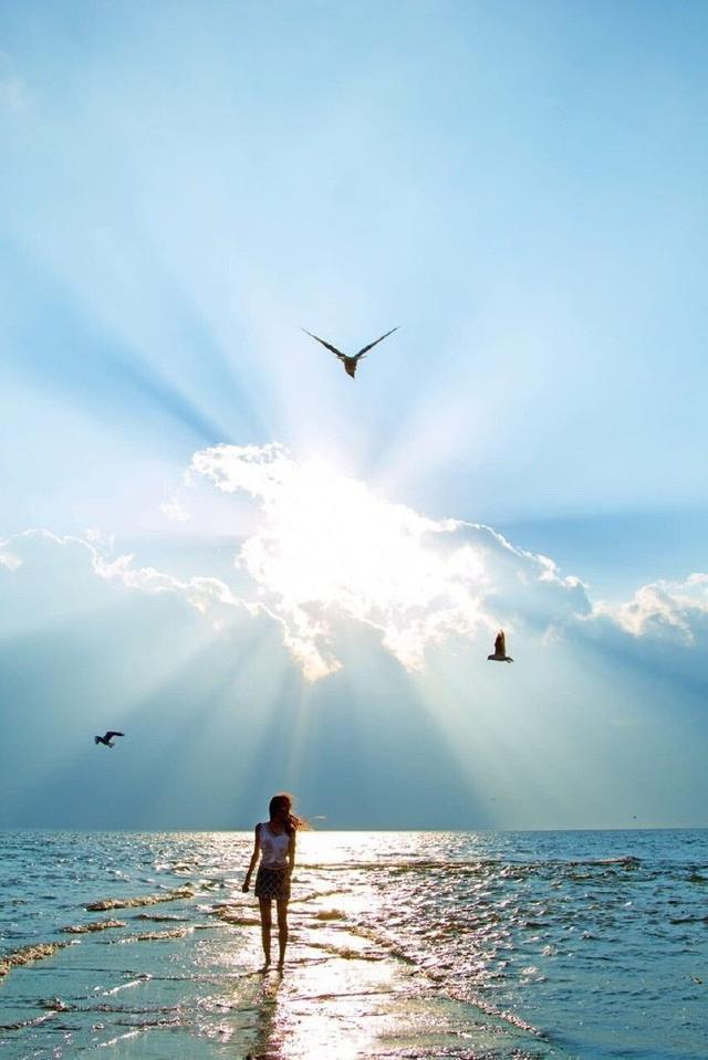 中国新能源汽车销量走势 2025年市场表现解析