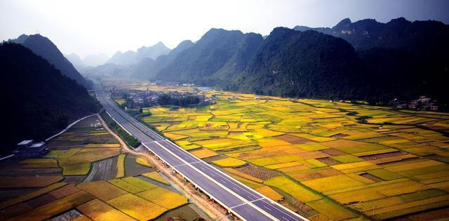 那坡县关键词seo排名优化