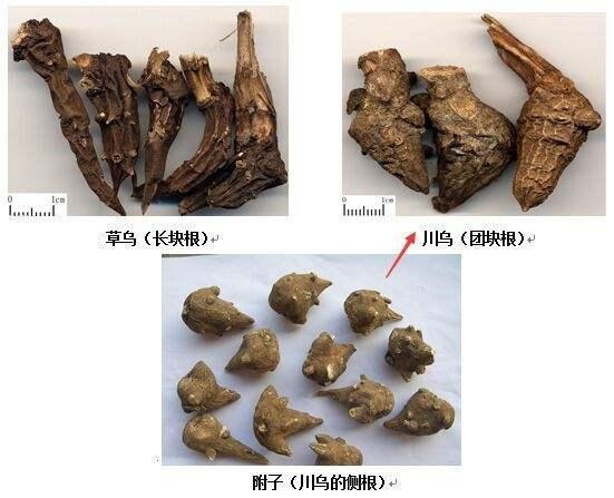 附子SEO培训教程下载 附子SEO培训怎么样