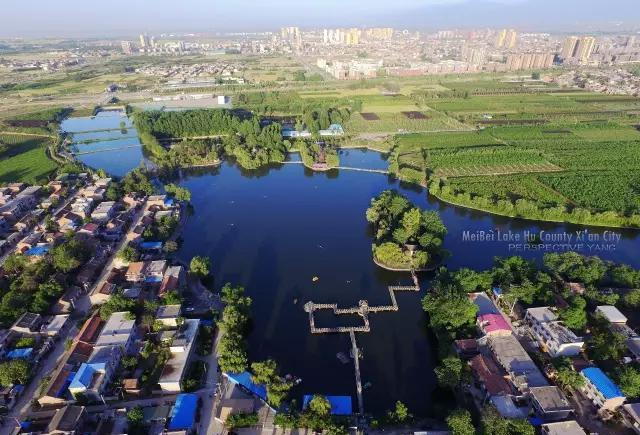 史上最炫户县渼陂湖“艳”照-《渼陂盛艳》