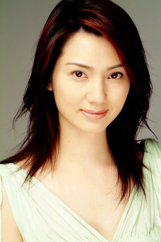 洪欣|莫少聪|出道_新浪新闻