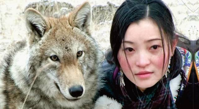 都市不是“格林”童话 ,无论如何 、我都会陪你重返狼群!