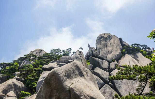 黄山五绝:奇松、怪石......,都是大自然的杰作!|大自然|黄山|怪石|奇松|五绝_新浪新闻