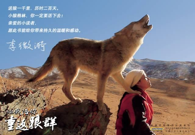 都市不是“格林”童话 ,无论如何 、我都会陪你重返狼群!