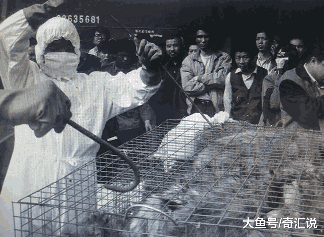 十二张珍贵的“非典”老照片|非典|医护人员|老照片|果子狸|患者_新浪新闻