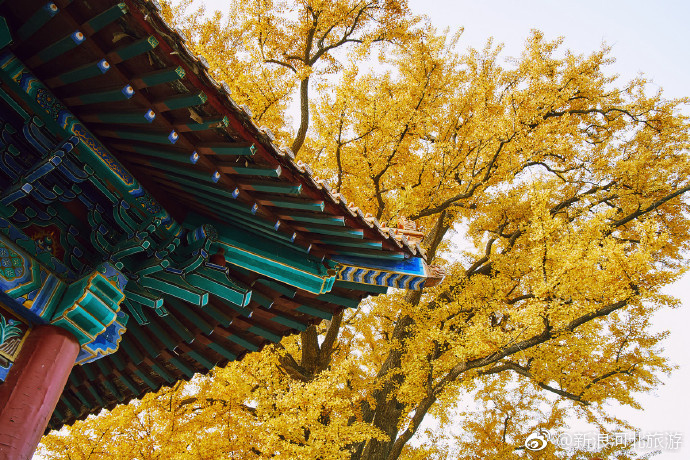 自入秋来风景好,就中最好是今朝