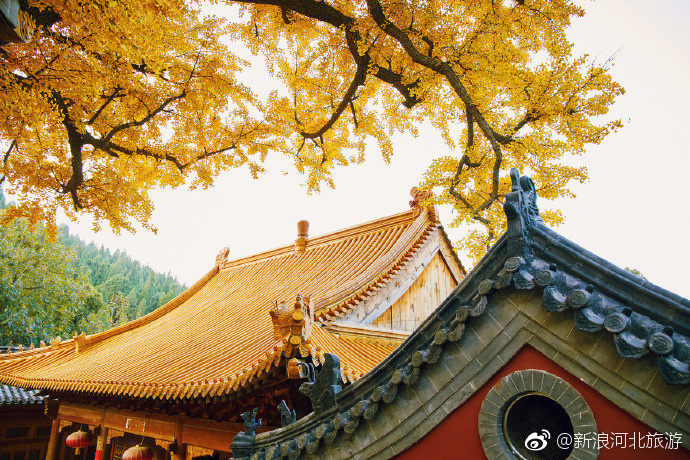自入秋来风景好,就中最好是今朝