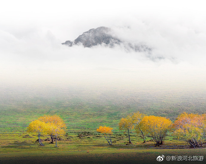 自入秋来风景好,就中最好是今朝