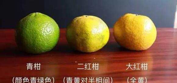 新会小青柑，二红柑同大红柑的区别和作用|新会|红柑|红皮