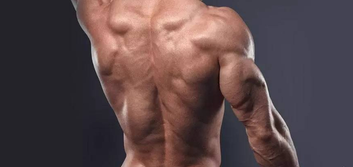 第一组斜方肌训练动作