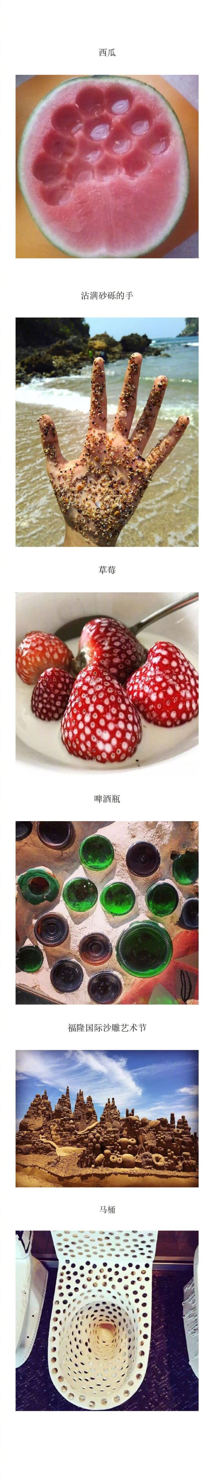 密集恐惧症不是做作也不是矫情,更不是一种病|恐惧症|矫情|艾特_新浪新闻