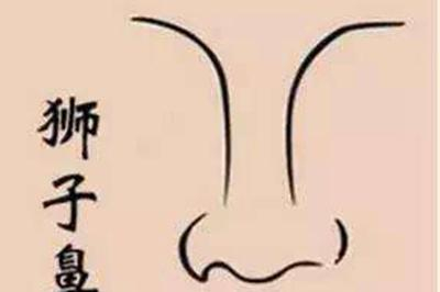 什么面相的鼻子长的好是好鼻相呢?