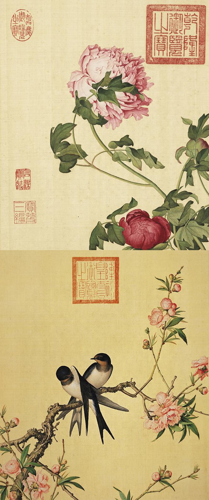 郎世宁《仙萼长春图册》台北故宫博物院藏