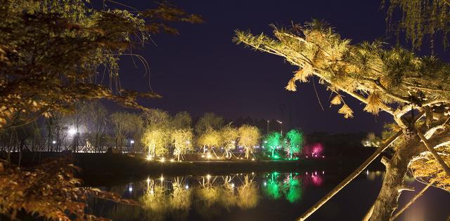 金梅花景区亮化改造项目介绍 卧龙湖步道亮化打造网红景点