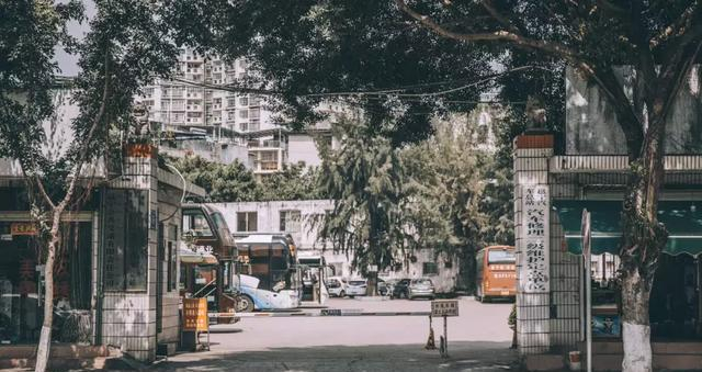 行业动态：邕宁蒲庙哪有小巷子啊：2025年邕宁蒲庙哪有小巷子啊的最新信息汇总