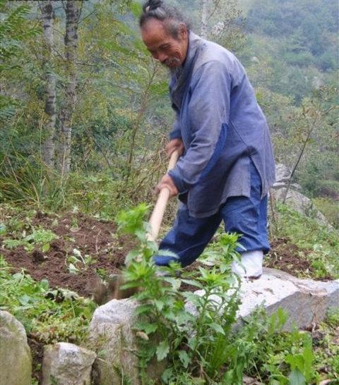 乱世出山救民，盛世归隐山林，这才是最中国的道家！