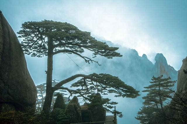 中国十大名山 中国最有名的山 中国名山排行榜_新浪新闻