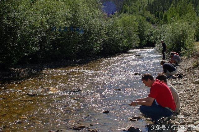 价值最高的河：政府允许个人淘金，除了黄金其他都不能带走|克朗代克|育空|淘金|加拿大|金砂_新浪新闻