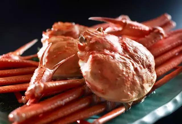 12月来日本鸟取县赏味东瀛海鲜霸主：松叶蟹