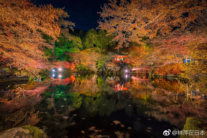 秋夜游览寺庙,很多人会选择到世界遗产醍醐寺观秋天的夜枫