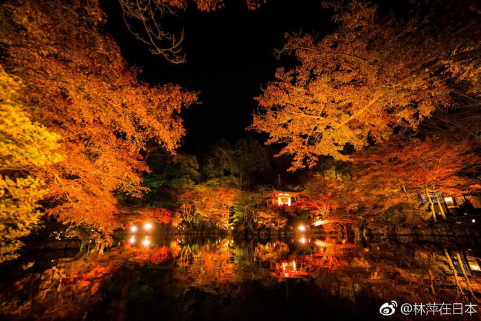 秋夜游览寺庙,很多人会选择到世界遗产醍醐寺观秋天的夜枫