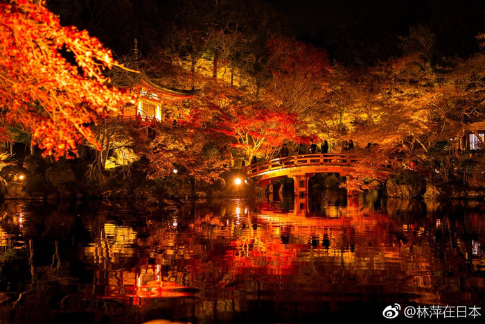 秋夜游览寺庙,很多人会选择到世界遗产醍醐寺观秋天的夜枫