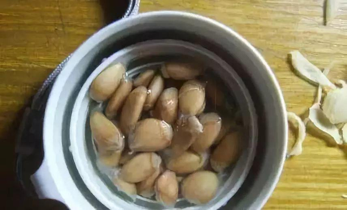 柚子籽可是宝,种在塑料盒里,半月长成小盆景!