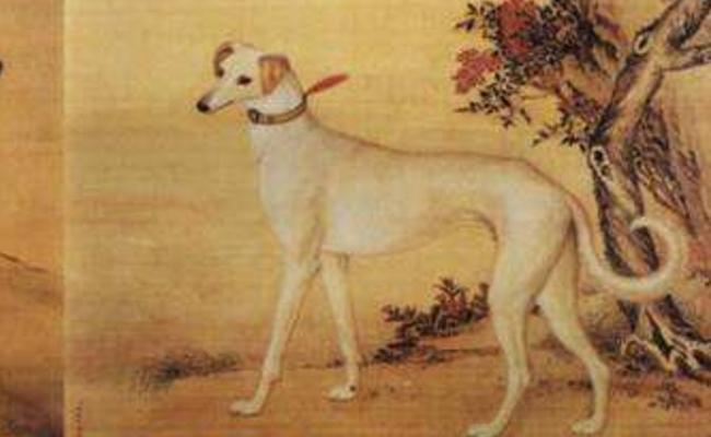 古代四大犬类神兽,除了哮天犬,还有一位狗头人神的大王!