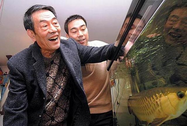 说了四十多年相声的杨议，家传功底深厚，但为什么一直没拜师|杨议|杨少华|相声|拜师|侯宝林_新浪新闻