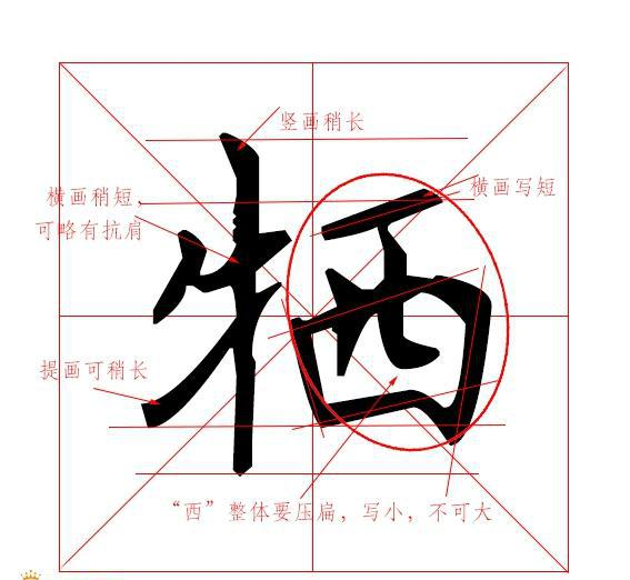 硬笔书法教程——偏旁部首篇“牛字旁”、“禾字旁”
