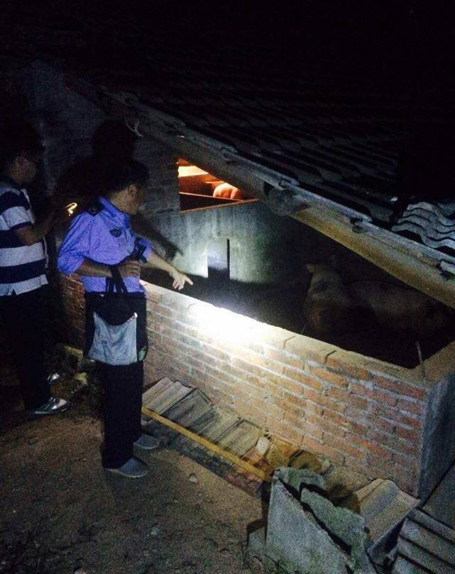 金华市第十一批环境违法典型案件曝光_新浪新闻