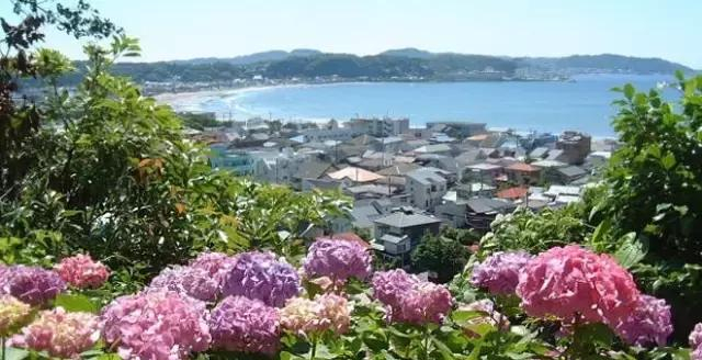 日本旅游|史上最全镰仓攻略!(内含交通)