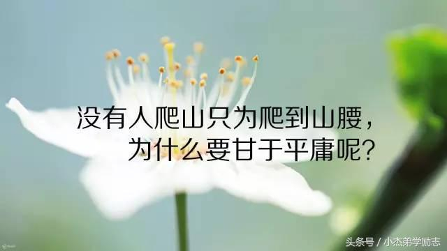 10句正能量的话语 激励人心上进 值得收藏！