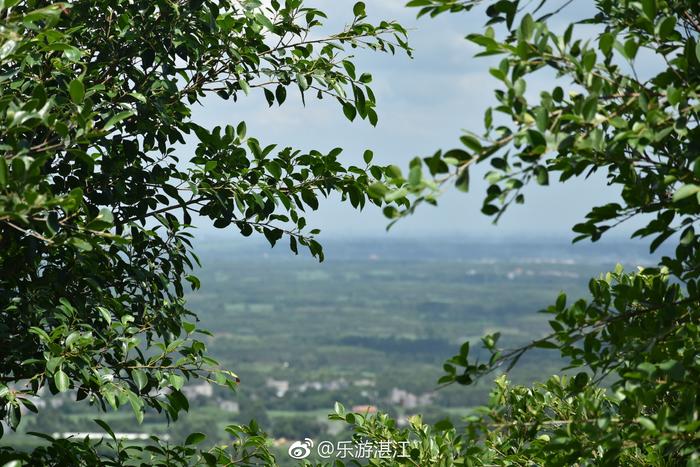 螺岗岭森林公园,感受清凉的夏天