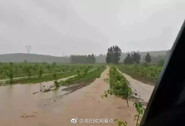 南阳遭受洪涝灾害 435.7公顷庄稼绝收 823人紧急转移_新浪新闻