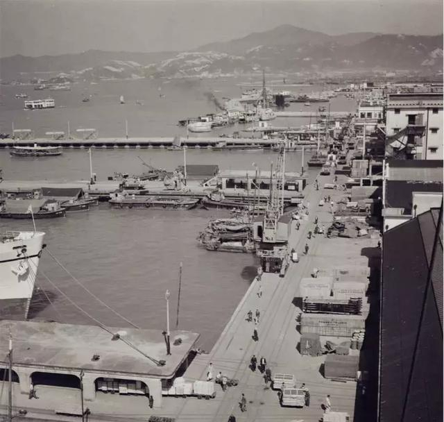 香港罕见老照片,带你看看1955 年的香港是怎么样的!|九龙|维多利亚港|船工_新浪新闻